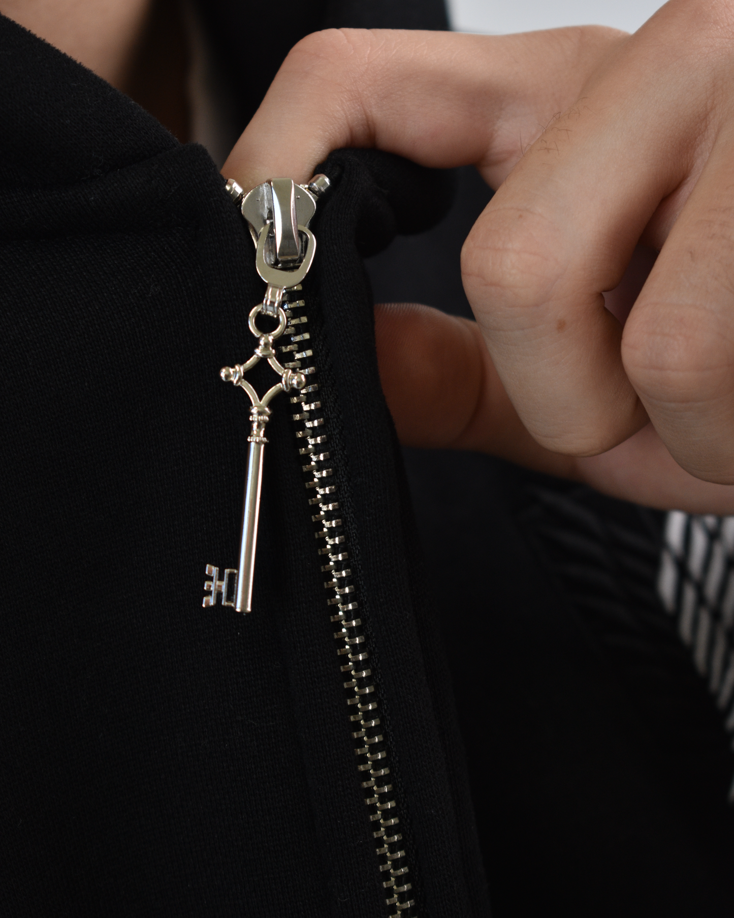 AOT HOODIES